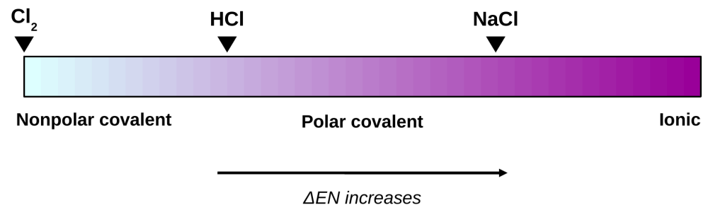 A color bar shading from nonpolar covalent on the left, through polar covalent, to ionic on the right as electronegativity difference increases. Cl2 is marked at the left end, HCl partway along, and NaCl toward the ionic end.