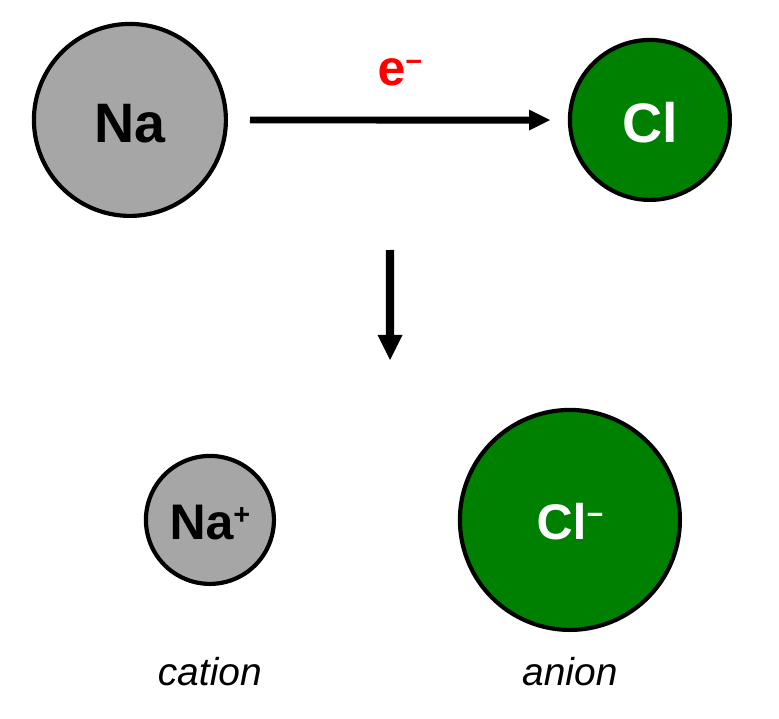 A sodium atom transfers an electron to a chlorine atom, forming a smaller Na+ cation and a larger Cl- anion.