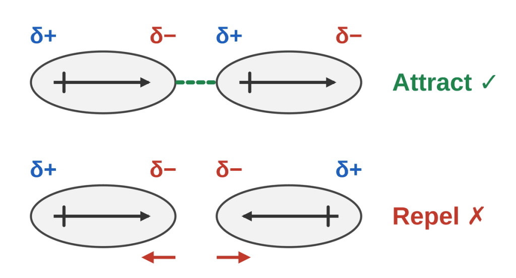 Polar molecules drawn as ovals with dipole arrows. Top: the partial negative end of one faces the partial positive end of the next, so they attract. Bottom: two partial negative ends face each other, so they repel.