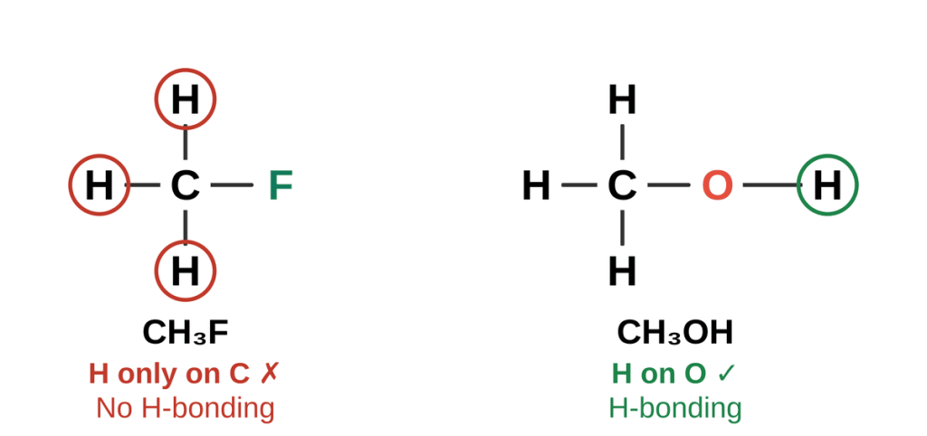 CH3F with every H bonded to carbon, labeled no H-bonding, next to CH3OH with one H bonded to oxygen circled, labeled H-bonding.