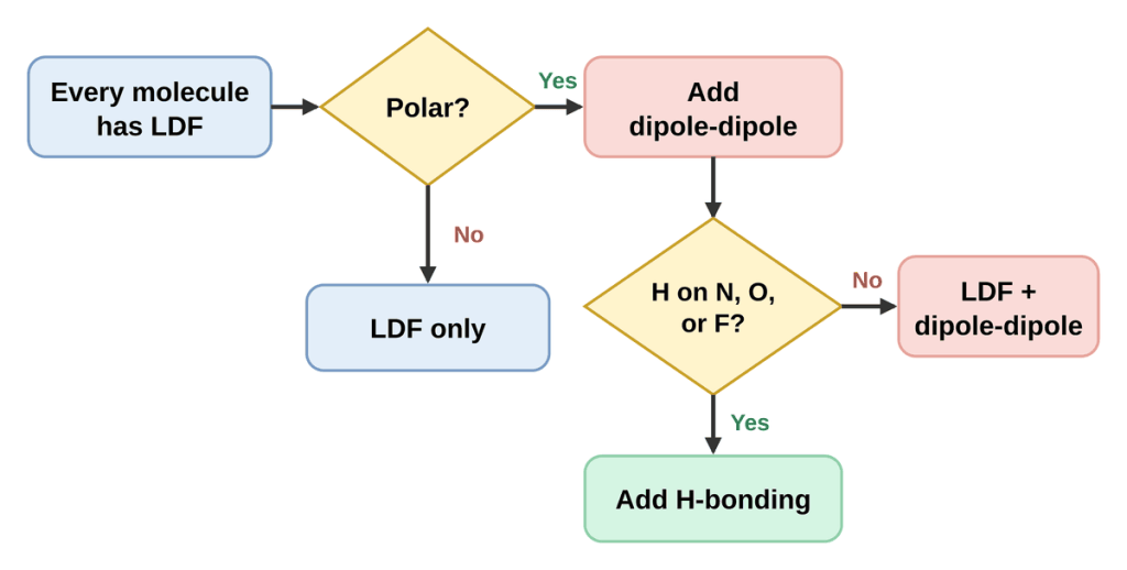 Flowchart. Every molecule has LDF. Is it polar? No: LDF only. Yes: add dipole-dipole. Is an H bonded to N, O, or F? Yes: add hydrogen bonding. No: LDF plus dipole-dipole.