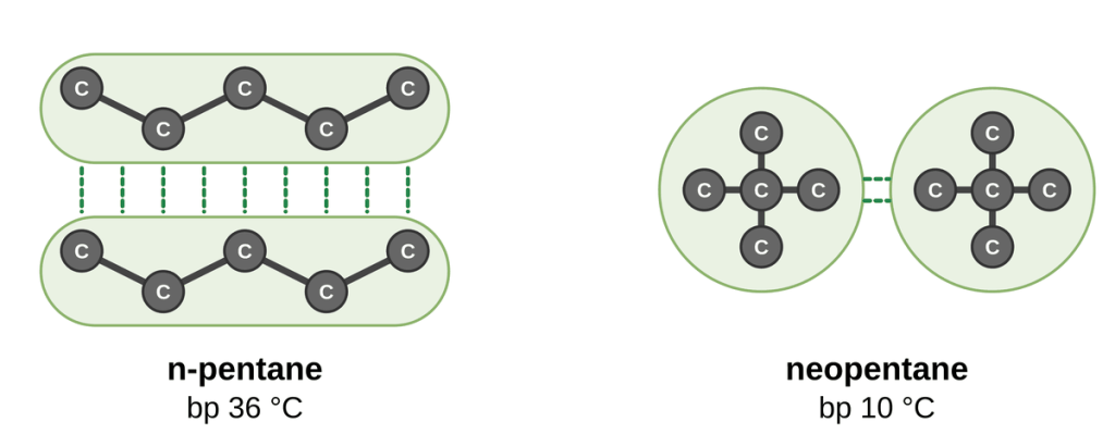 Two long n-pentane chains lying side by side with many contact points (bp 36 °C), compared with two compact, ball-shaped neopentane molecules touching at only a small spot (bp 10 °C).