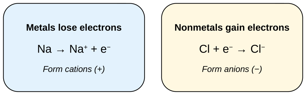 Two cards. Metals lose electrons: Na becomes Na+ plus an electron, forming cations. Nonmetals gain electrons: Cl plus an electron becomes Cl-, forming anions.