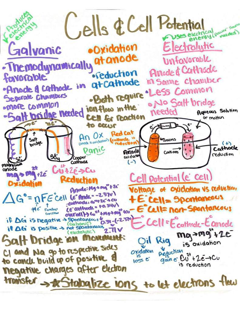 A student's handwritten one-page review of electrochemical cells in colored markers, comparing galvanic and electrolytic cells with labeled diagrams, oxidation and reduction half-reactions for magnesium and copper, the relationship between free energy and cell potential, how to calculate standard cell potential, and the role of the salt bridge.