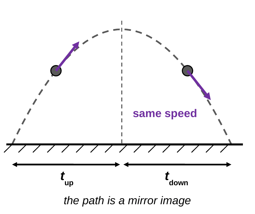 A symmetric parabola with a dashed vertical line through the peak. Two balls at the same height on opposite sides have purple velocity arrows of equal length, one pointing up and right, the other down and right. Below the ground, double arrows mark t up from launch to the middle and t down from the middle to landing. Caption: the path is a mirror image.