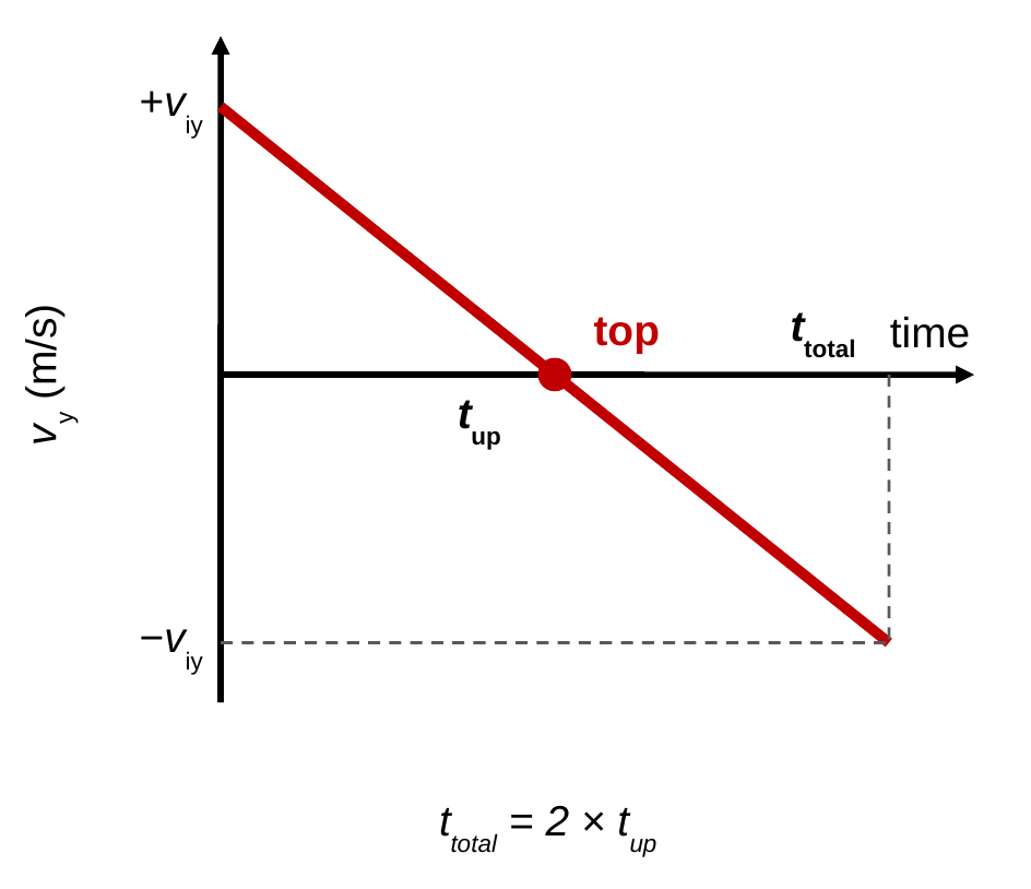 A graph of vertical velocity versus time. A straight line starts at plus v i y, crosses zero at t up, where a red dot marks the top, and ends at minus v i y at t total. Caption: t total equals 2 times t up.