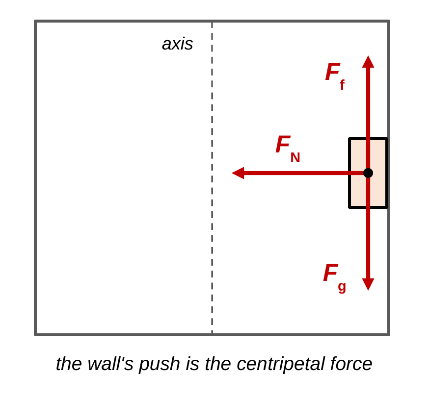 A side view of a spinning cylinder ride with a dashed vertical axis in the middle. A rider, shown as a box, is pressed against the right wall. The normal force F N points left, toward the axis. Friction F f points up and gravity F g points down with equal lengths.