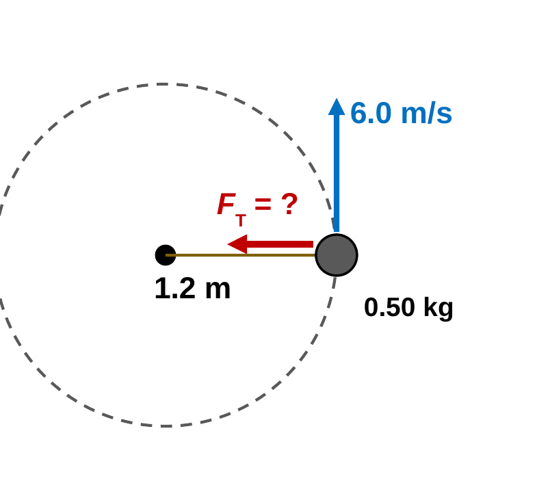 A top view of a 0.50 kg puck on a string moving in a dashed circle of radius 1.2 m. A blue arrow labeled 6.0 m/s points along the circle, and a red arrow along the string toward the center is labeled F T = ?.