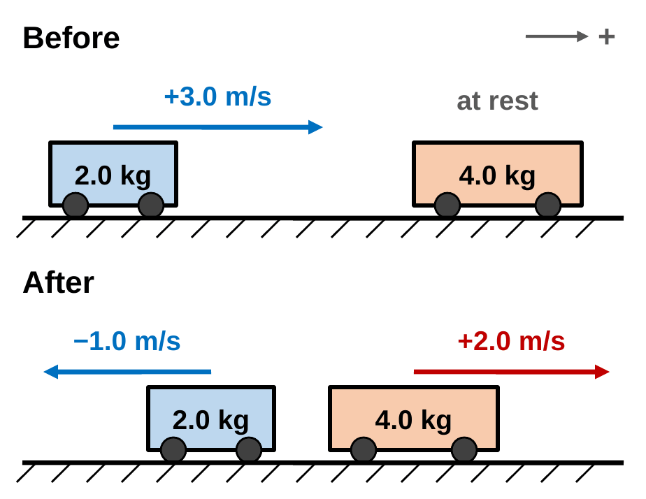 Before: a 2.0 kg cart moves right at +3.0 m/s toward a 4.0 kg cart at rest. After: the 2.0 kg cart moves left at −1.0 m/s and the 4.0 kg cart moves right at +2.0 m/s.