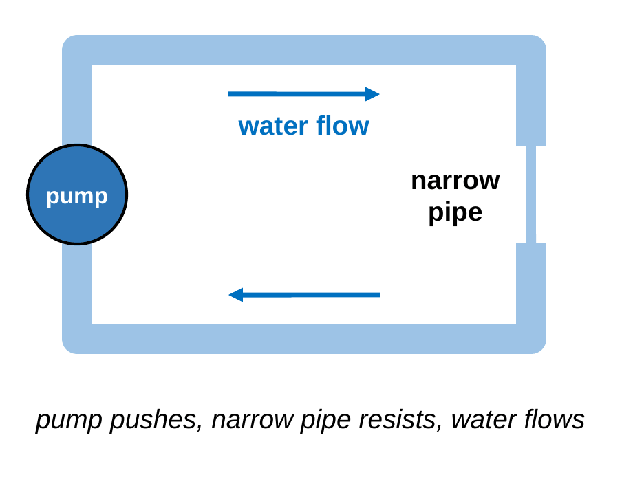 A closed loop of water pipe. A pump on the left side pushes water around the loop, shown by blue arrows. On the right side, part of the pipe is narrow. Caption: the pump pushes, the narrow pipe resists, and the water flows.