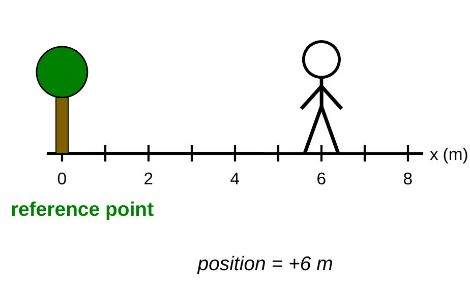 A number line from 0 to 8 meters. A tree sits at 0 m, labeled reference point. A stick figure stands at 6 m. Caption: position = +6 m.