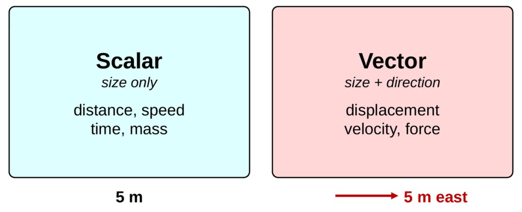 Two cards. Left, cyan: Scalar, size only, with examples distance, speed, time, and mass, and the sample value 5 m. Right, pink: Vector, size + direction, with examples displacement, velocity, and force, and the sample value 5 m east.