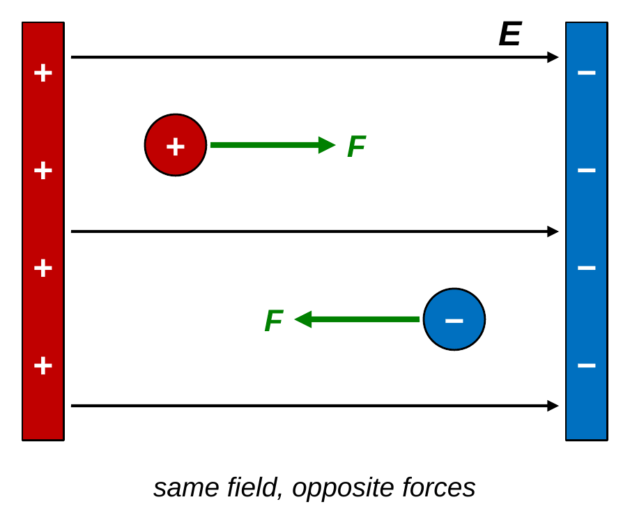 A positive plate on the left and a negative plate on the right, with three field lines pointing from left to right, labeled E. A positive charge between them has a force arrow F pointing right, along the field. A negative charge has a force arrow F pointing left, against the field.