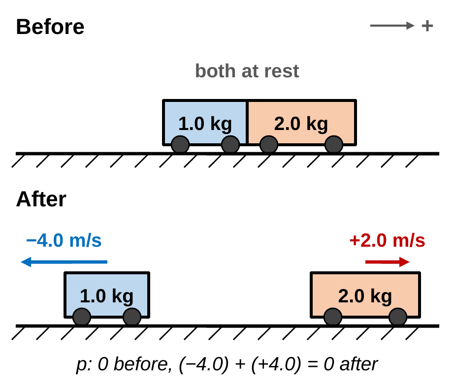Before: a 1.0 kg cart and a 2.0 kg cart touch, both at rest. After: the 1.0 kg cart moves left at −4.0 m/s and the 2.0 kg cart moves right at +2.0 m/s. Caption: momentum is 0 before and (−4.0) + (+4.0) = 0 after.