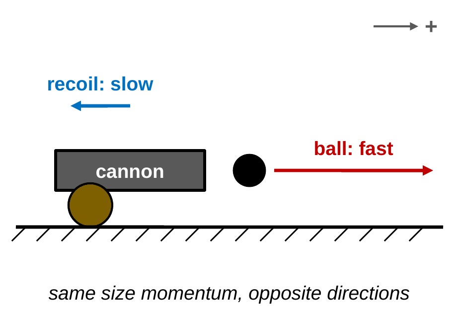 A cannon fires a small ball to the right. A long red arrow on the ball is labeled fast. A short blue arrow on the cannon points left and is labeled recoil, slow.