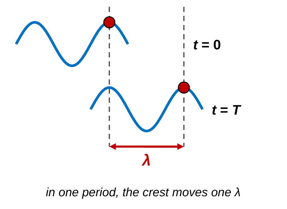 Two snapshots of the same short wave. In the top snapshot, labeled t = 0, the front crest is marked with a red dot. In the bottom snapshot, labeled t = T, the whole wave has shifted right and the red dot is one wavelength farther along. A double arrow between the two dot positions is labeled lambda. Caption: in one period, the crest moves one wavelength.