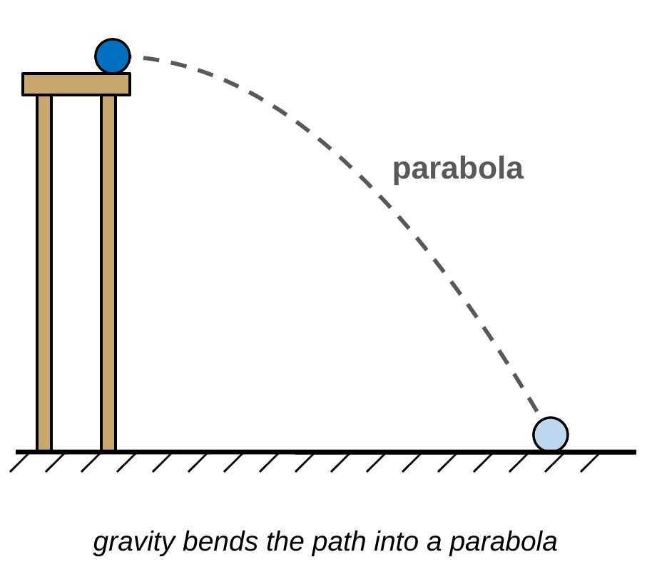 A ball rolls off the edge of a table and follows a dashed curved path down to the floor. The curve is labeled parabola. Caption: gravity bends the path into a parabola.