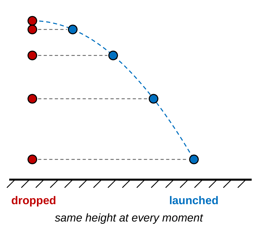 A strobe picture of two balls released at the same moment. A red ball is dropped straight down and a blue ball is launched sideways along a parabola. Dashed horizontal lines show both balls at the same height at each moment, and they land at the same time. Caption: same height at every moment.