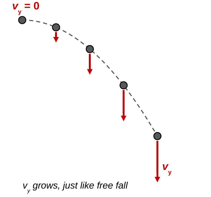 The same parabolic path with five evenly timed ball positions. Each ball has a red downward arrow labeled v y. The first ball has no red arrow, and the arrows get longer at each later position. Caption: v y grows, just like free fall.