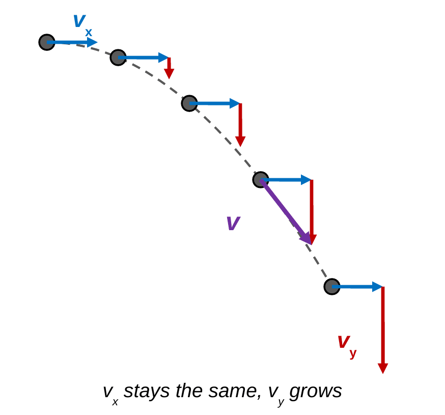 The parabolic path with five ball positions. Each ball has a blue horizontal arrow that stays the same length and a red downward arrow that grows. At the fourth position, a purple arrow labeled v goes from the ball to the tip of the combined components and runs along the curve.