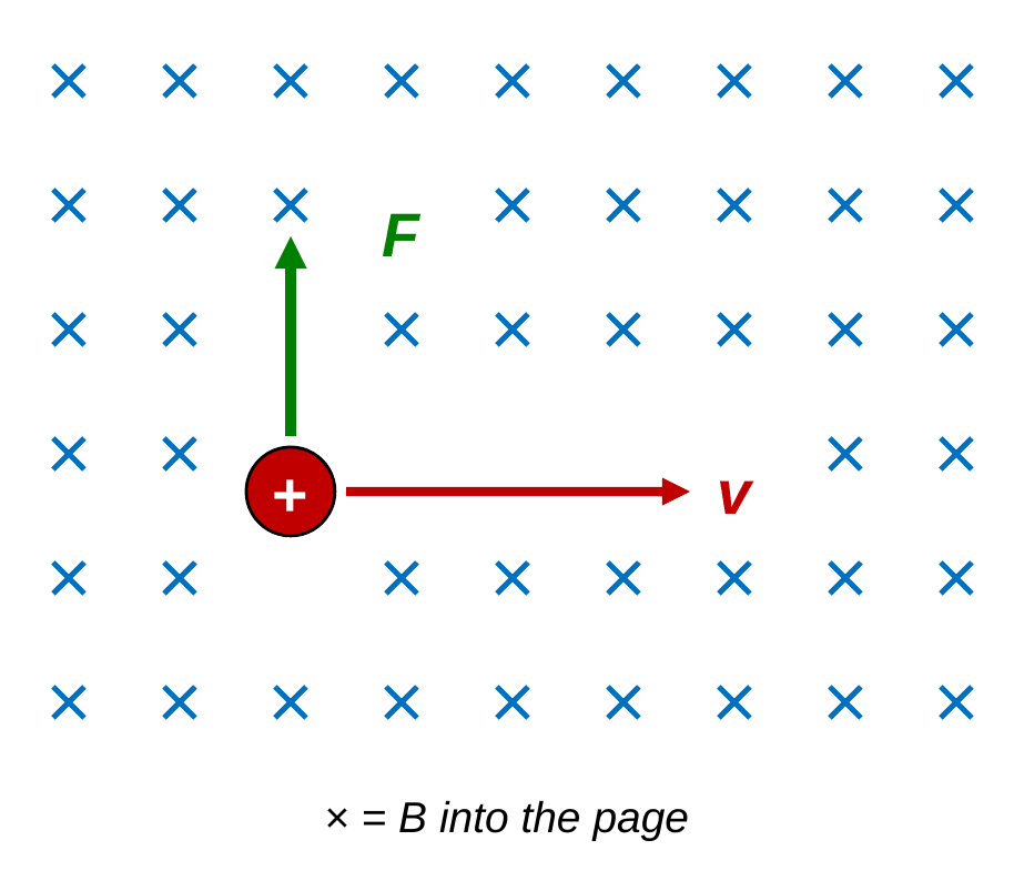 A region of blue crosses showing a magnetic field into the page. A red positive charge moves to the right, shown by a red arrow labeled v. A green arrow labeled F points straight up from the charge, perpendicular to the motion. Caption: crosses mean B into the page.