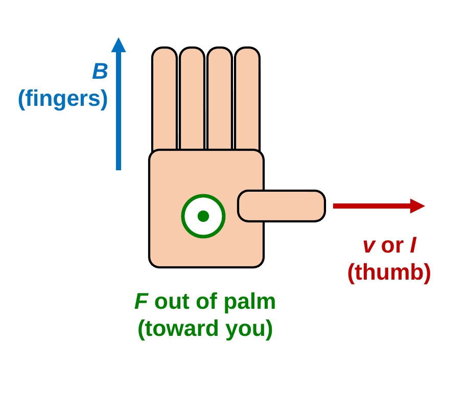 An open right hand with the palm facing the viewer. The fingers point up, labeled B. The thumb points right, labeled v or I. A green dot symbol on the palm shows the force F coming out of the palm, toward the viewer.