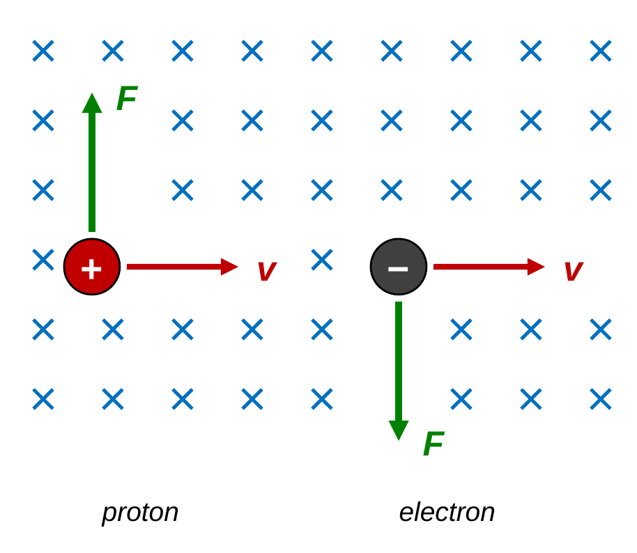 A region of blue crosses showing a field into the page. On the left, a red positive proton moves right and a green force arrow points up. On the right, a gray negative electron also moves right, but its green force arrow points down.