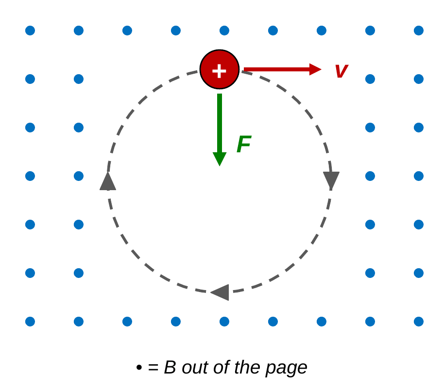 A region of blue dots showing a field out of the page. A positive charge travels clockwise around a dashed circle. At the top of the circle, its velocity arrow points right and its green force arrow points down toward the center.