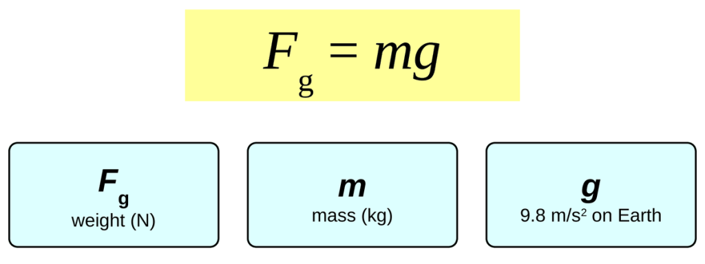 The equation F_g = mg in a yellow box. Below it, three cards: F_g is weight in newtons, m is mass in kilograms, and g is the gravitational field strength in meters per second squared, 9.8 on Earth.