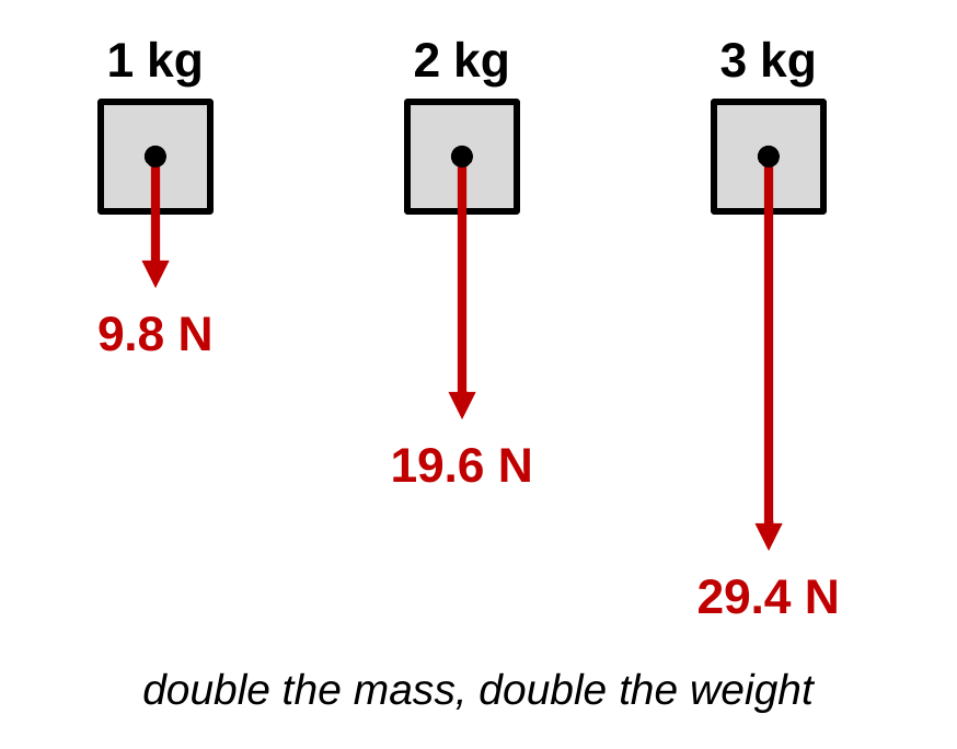 Three blocks labeled 1 kg, 2 kg, and 3 kg. Red weight arrows point down from each block's center, labeled 9.8 N, 19.6 N, and 29.4 N, with lengths in the ratio 1 to 2 to 3. Caption: double the mass, double the weight.