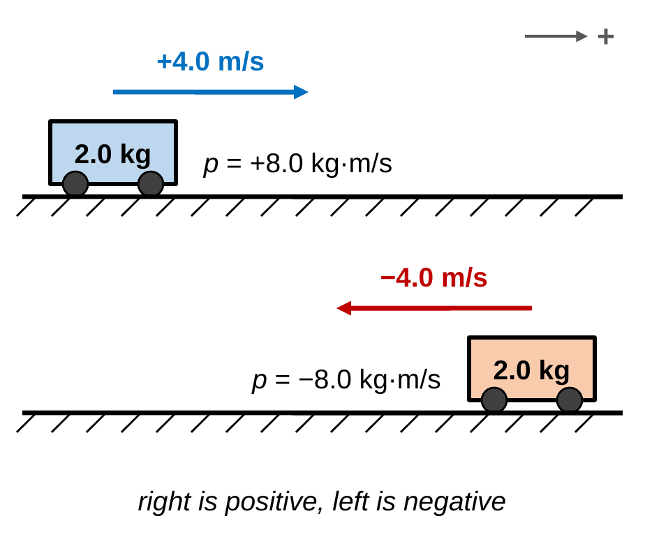 A plus sign arrow points right. A 2.0 kg cart moves right at +4.0 m/s with momentum +8.0 kg·m/s. Below it, an identical 2.0 kg cart moves left at −4.0 m/s with momentum −8.0 kg·m/s. Caption: right is positive, left is negative.