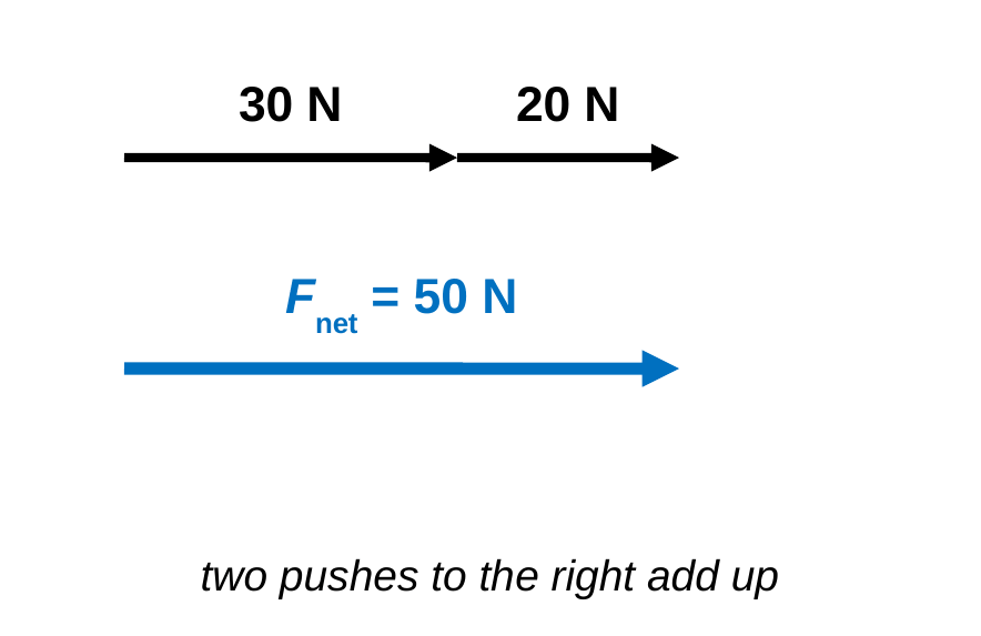 A black arrow labeled 30 N followed tip-to-tail by a black arrow labeled 20 N, both pointing right. Below them, one blue arrow as long as both together, labeled F_net = 50 N. Caption: two pushes to the right add up.