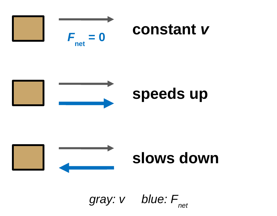 Three rows, each with a box, a gray velocity arrow pointing right, and a blue net force arrow. Row 1: no net force arrow, labeled constant v. Row 2: net force arrow points right, labeled speeds up. Row 3: net force arrow points left, labeled slows down. Legend: gray is v, blue is F_net.