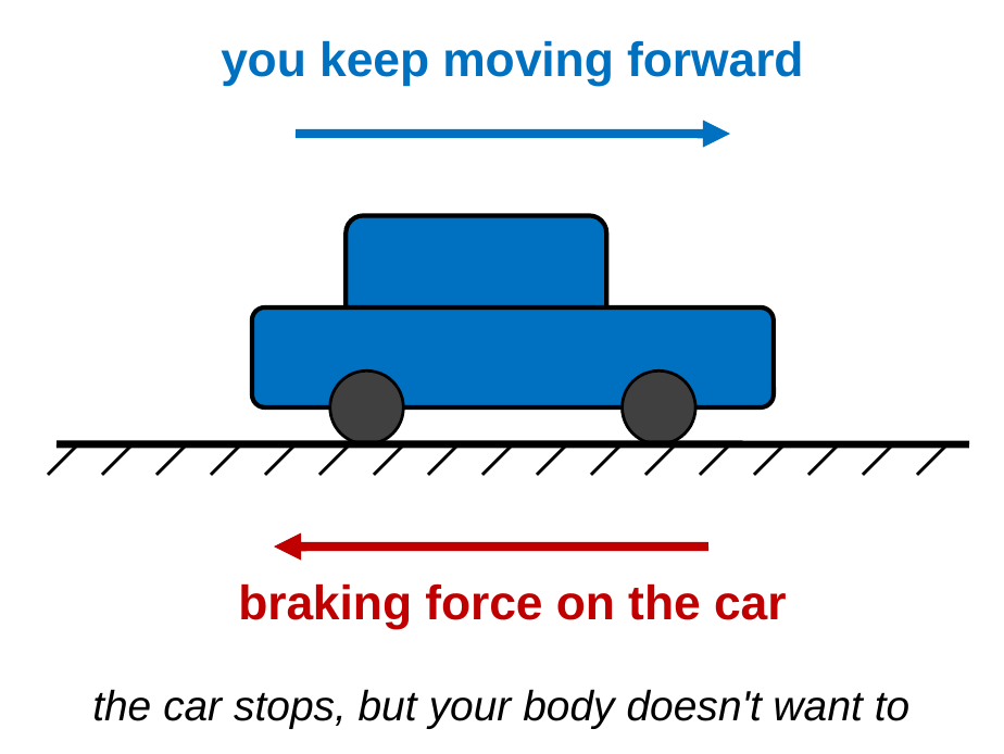 A blue car on a road. Above it, a blue arrow points forward labeled you keep moving forward. Below the road, a red arrow points backward labeled braking force on the car. Caption: the car stops, but your body doesn't want to.