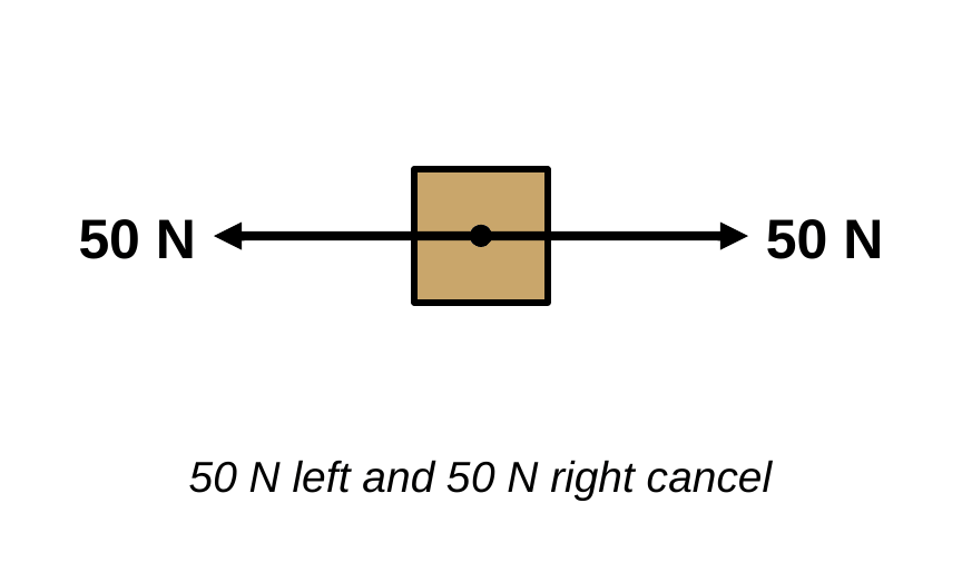 A box with two black arrows starting at its center: one points left labeled 50 N, the other points right labeled 50 N, and the arrows are the same length. Caption: 50 N left and 50 N right cancel.