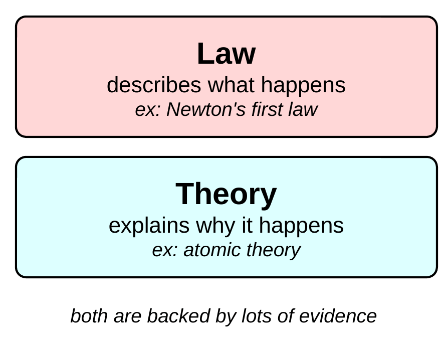 Two cards. A pink card labeled Law says: Describes what happens. Example: Newton's first law. A cyan card labeled Theory says: Explains why it happens. Example: atomic theory. Caption: both are backed by lots of evidence.