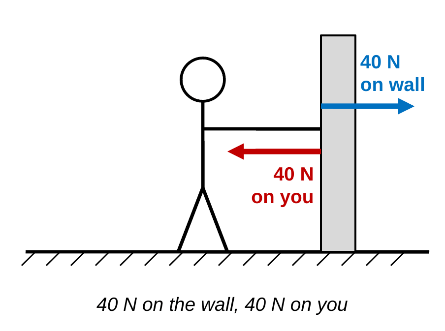 A stick figure pushes on a wall with an outstretched arm. At the contact point, a blue arrow points right into the wall, labeled 40 N on wall, and an equal red arrow points left, labeled 40 N on you. Caption: 40 N on the wall, 40 N on you.