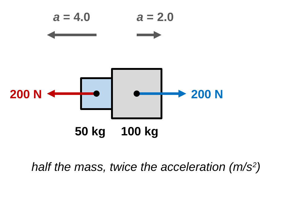 A small 50 kg block and a large 100 kg block push apart with equal 200 N arrows. Gray acceleration arrows above them show a = 4.0 m/s² for the small block and a half-length arrow a = 2.0 m/s² for the large block.