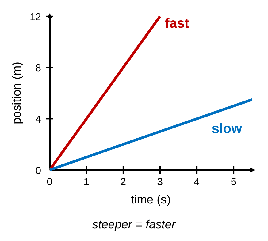 A position-time graph with two straight lines starting at the origin. A steep red line is labeled fast and a shallow blue line is labeled slow.