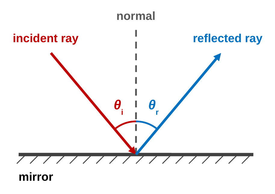 A ray diagram. A horizontal mirror is at the bottom. A dashed vertical line, the normal, rises from the point where the light hits. The incident ray comes in from the upper left and the reflected ray leaves to the upper right. The angle between each ray and the normal is marked: theta i on the left and theta r on the right, and they are equal.