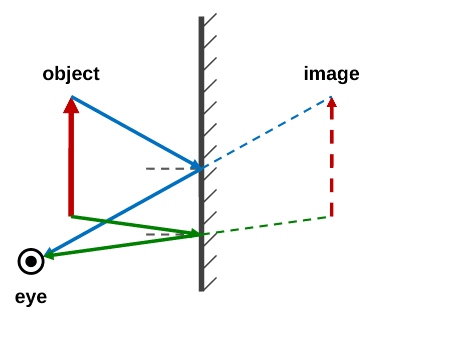 A ray diagram with a vertical mirror. Two rays leave the top and bottom of an upright object arrow, hit the mirror, and reflect into an eye on the left. At each hit point there is a short dashed normal line. Dashed lines extend the reflected rays back behind the mirror, where they meet at the top and bottom of a dashed image arrow.