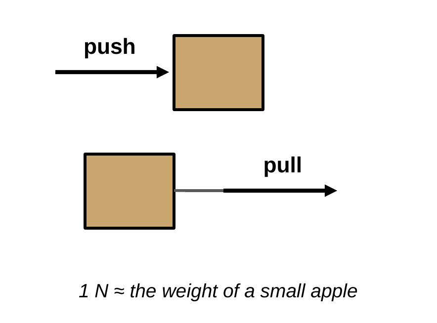 Top: an arrow labeled push points into the left side of a box. Bottom: an arrow labeled pull points away from the right side of a box. Caption: 1 N is about the weight of a small apple.