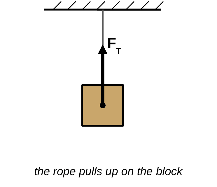 A block hangs from the ceiling by a rope. A black arrow starts at the center of the block and points up along the rope, labeled F_T. Caption: the rope pulls up on the block.