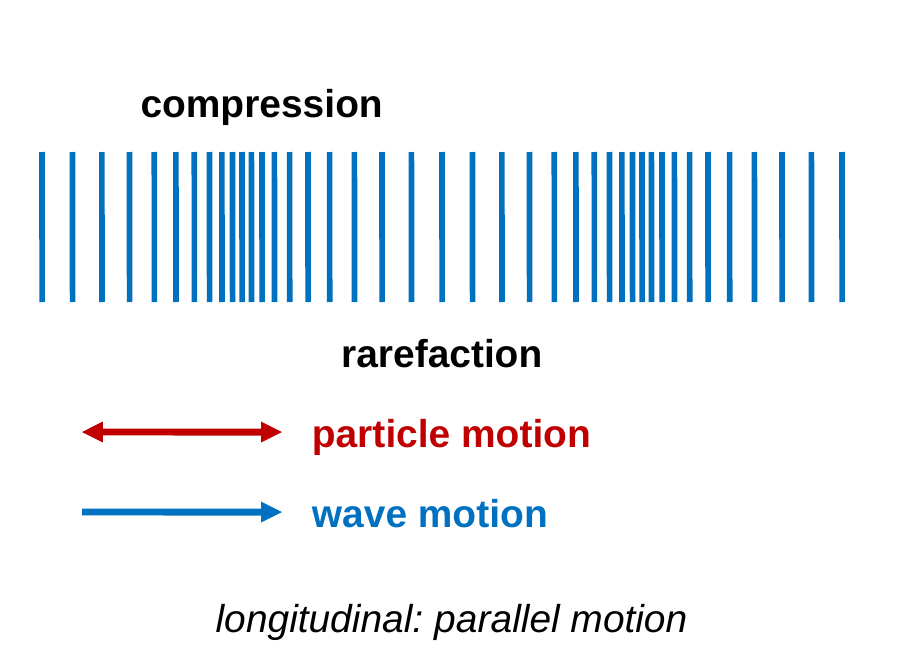 A row of vertical blue lines like a stretched spring. Some lines are bunched together, labeled compression, and some are spread apart, labeled rarefaction. A red double arrow pointing left and right is labeled particle motion, and a blue arrow pointing right is labeled wave motion. Caption: longitudinal, parallel motion.