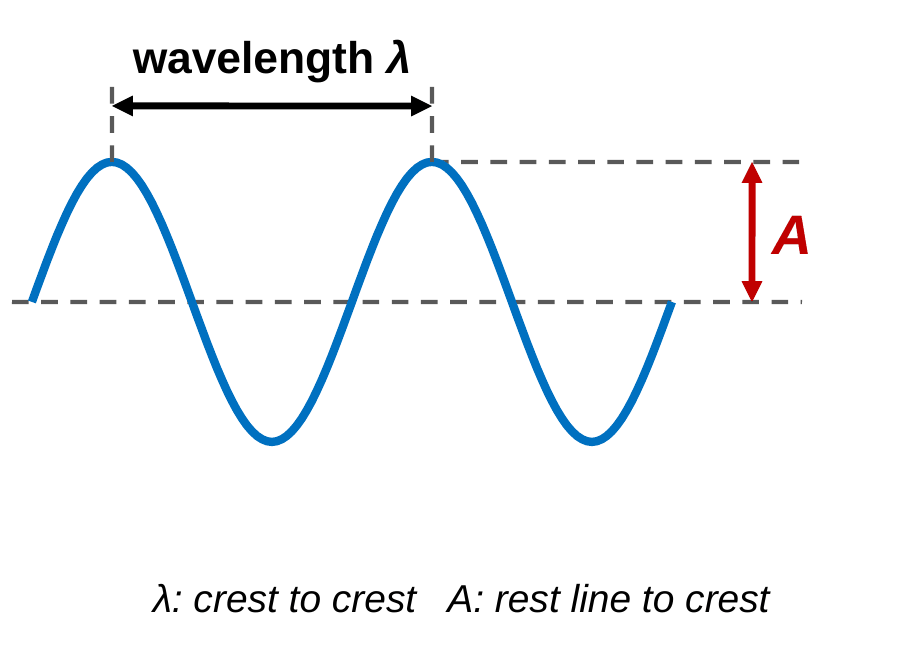 A blue sine wave over a dashed equilibrium line. A black double arrow above the wave runs from one crest to the next crest, labeled wavelength lambda. A red double arrow at the right runs from the equilibrium line up to the height of a crest, labeled A for amplitude. Caption: lambda is crest to crest, A is rest line to crest.