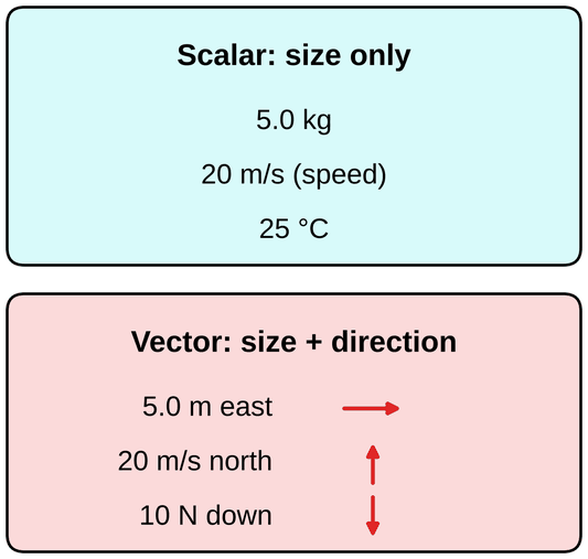 Two cards. Scalar, size only: 5.0 kilograms, 20 meters per second speed, 25 degrees Celsius. Vector, size plus direction: 5.0 meters east, 20 meters per second north, 10 newtons down, each with a small red arrow showing its direction.